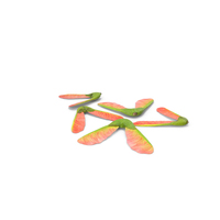 Pink Maple Seeds PNG & PSD Images