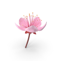 Cherry Blossom Sprig PNG & PSD Images