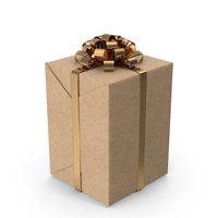 Gift Wrap 1 Paper 2 PNG & PSD Images