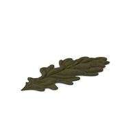 Oak Leaf Rug PNG & PSD Images