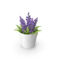 Lavender Plant PNG & PSD Images