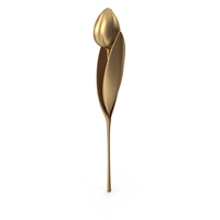Tulip Gold PNG & PSD Images
