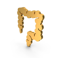 Large Intestine Icon PNG & PSD Images
