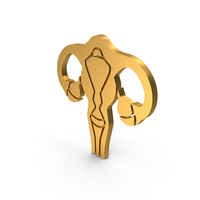 Medical Women Reproductive System Symbol PNG & PSD Images