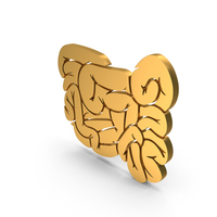 Intestine Icon PNG & PSD Images