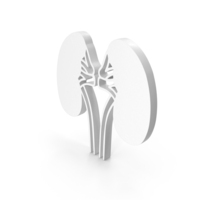 Anatomy Kidney Icon PNG & PSD Images