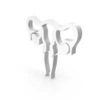 Medical Female Reproductive System PNG & PSD Images