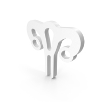 Women Reproductive System PNG & PSD Images
