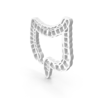 Large Intestine Human Anatomy Icon PNG & PSD Images