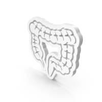 Large Intestine Medical Anatomy Icon PNG & PSD Images