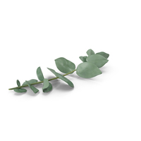 Eucalyptus Sprigs PNG & PSD Images