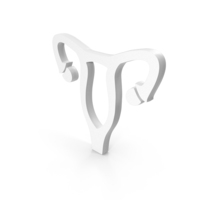 Women Reproductive System Medical Icon PNG & PSD Images