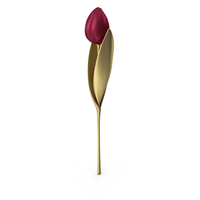 Tulip Gold Purple PNG & PSD Images