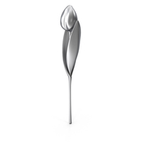 Tulip Silver PNG & PSD Images