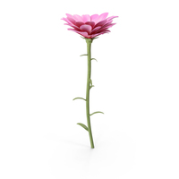 Small Flowers PNG & PSD Images
