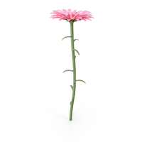 Small Flowers PNG & PSD Images