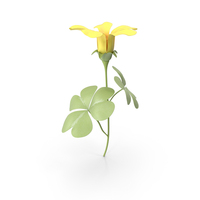 Small Flowers PNG & PSD Images