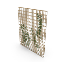 Plants On Wooden Shelf - Wall PNG & PSD Images