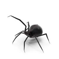Spider Attack PNG & PSD Images