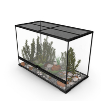 Large Terrarium With Plants Garden and Two Iguanas PNG & PSD Images