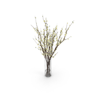 Bouquet in Vase PNG & PSD Images