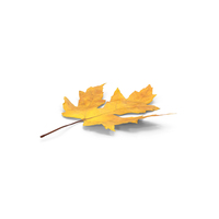 Prop Autumn Leaves PNG & PSD Images