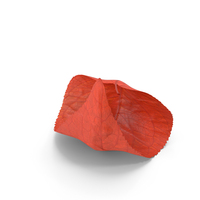 Autumn Leaves PNG & PSD Images