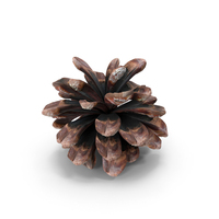 Cone PNG & PSD Images