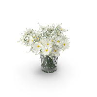 Bouquet of White Flowers in Glass Vase PNG & PSD Images