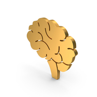 Human Brain Medical Icon PNG & PSD Images