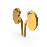 Kidney Human Medical Icon PNG & PSD Images