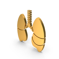 Human Lungs Icon PNG & PSD Images