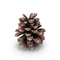 Cone PNG & PSD Images