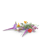 Wild Flower Bouquet PNG & PSD Images
