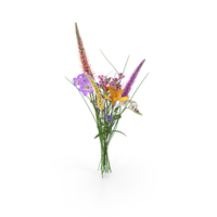 Wild Flower Bouquet PNG & PSD Images
