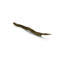 Broken Branch PNG & PSD Images
