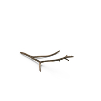 Broken Branch PNG & PSD Images