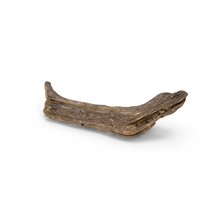 Broken Driftwood Piece PNG & PSD Images