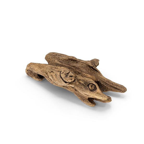 Broken Driftwood Piece PNG & PSD Images