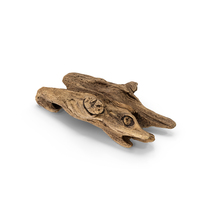 Broken Driftwood Piece PNG & PSD Images