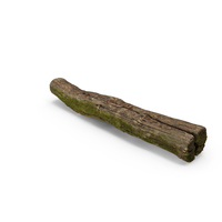 Broken Trunk Piece PNG & PSD Images