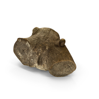 Broken Tree Trunk Piece PNG & PSD Images
