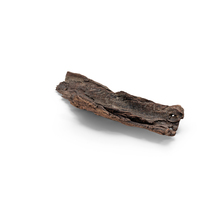 Broken Tree Bark Piece PNG & PSD Images