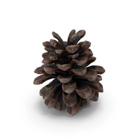 Middle Cone PNG & PSD Images