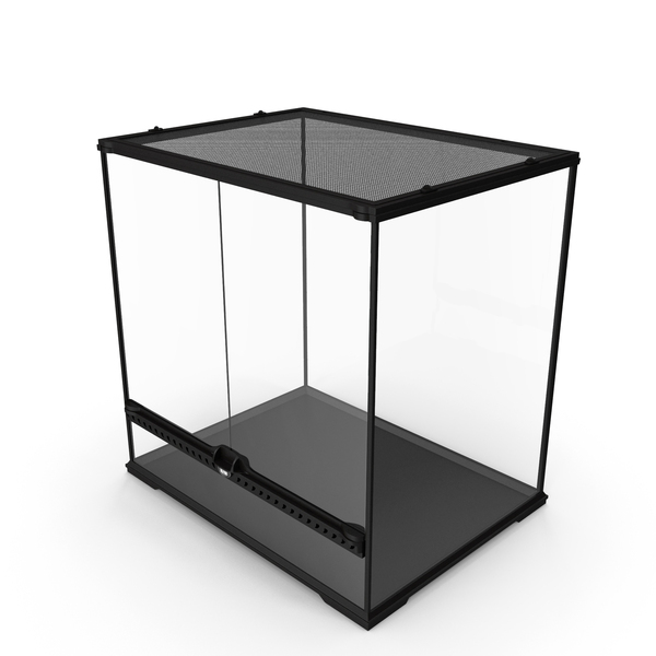 Big Empty Terrarium PNG & PSD Images