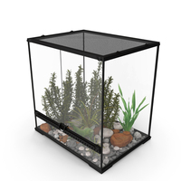 Big Terrarium with Plants and Green Lizard PNG & PSD Images