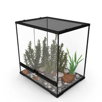 Big Terrarium with Tropic Plants PNG & PSD Images