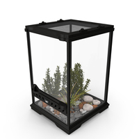 Little Desktop Terrarium with Plants PNG & PSD Images