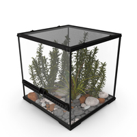 Small Cubic Terrarium with Plants PNG & PSD Images