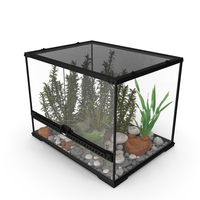 Medium Size Terrarium with Green Iguana PNG & PSD Images